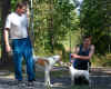 Amerikan kettukoira Kata ja JackRusseli Kaapo 5.8.06